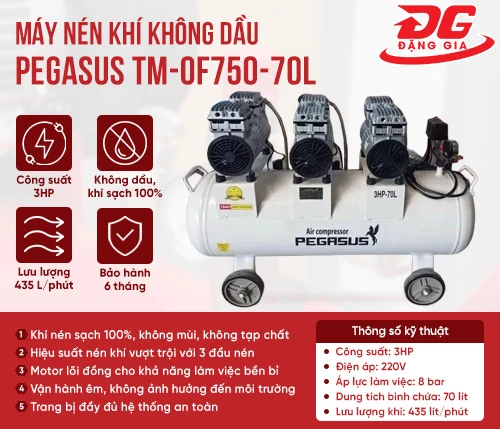 Máy nén khí không dầu Pegasus TM-OF750-70L 2