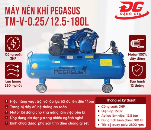 Máy nén khí Pegasus TM-V-0.25/12.5-180L 2