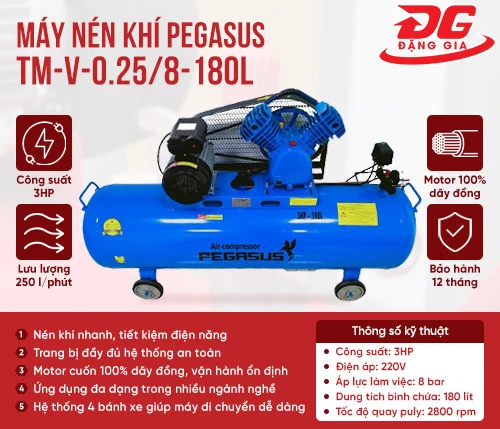 Máy nén khí Pegasus TM-V-0.25/8-180L 2