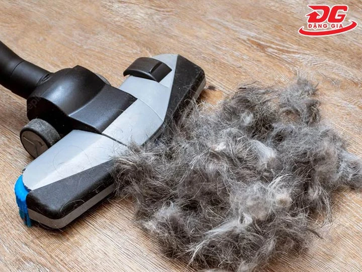 bàn hút của máy hút bụi nhiều lông thú