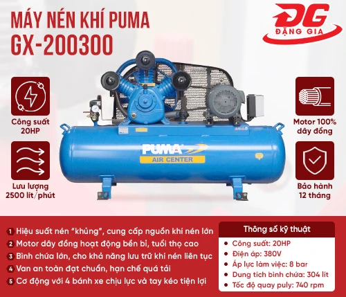 Máy nén khí Puma GX200300 2