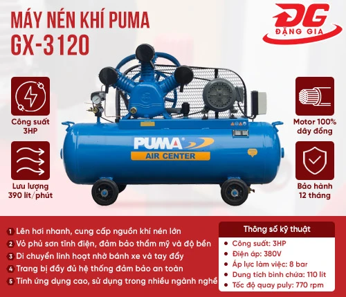 Máy nén khí Puma GX3120 2
