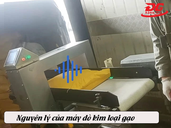 nguyên lý hoạt động của máy dò kim loại gạo