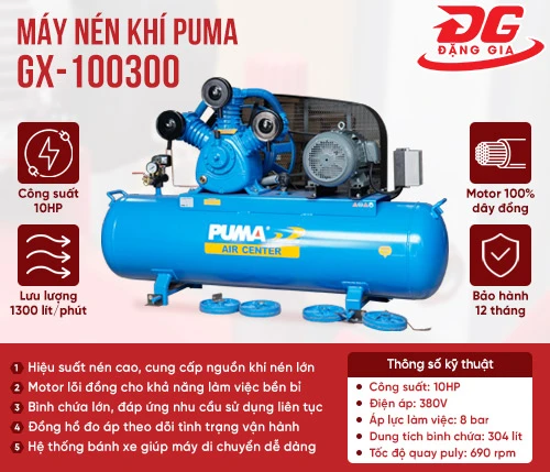 Máy nén khí Puma GX-100300(10HP) 2