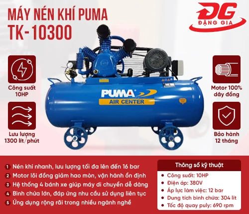 Máy nén khí Puma TK-10300 2