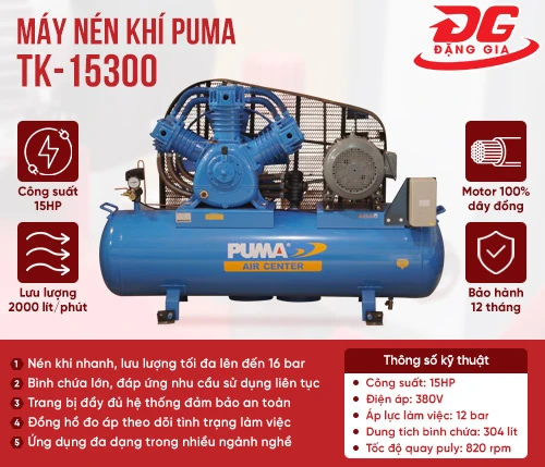 Máy nén khí Puma TK-15300 2