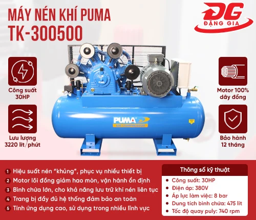 Máy nén khí Puma TK-300500 2