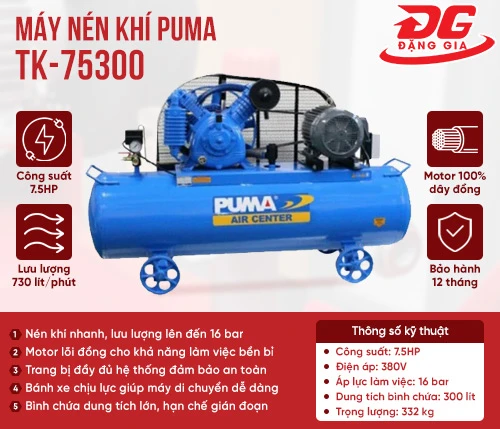 Máy nén khí Puma TK-75300 2
