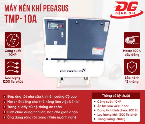 Máy nén khí trục vít Pegasus TMP-10A 2
