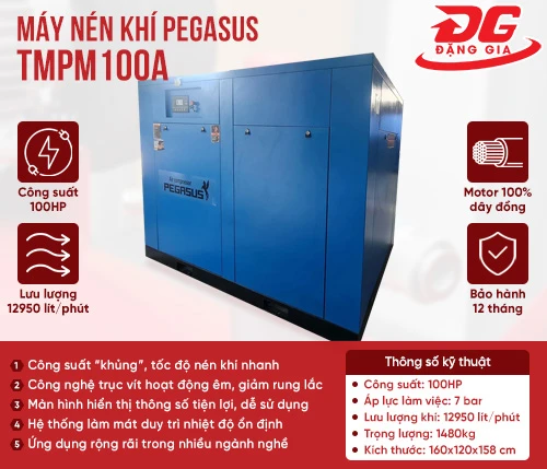 Máy nén khí trục vít Pegasus TMPM100A 2