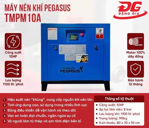 Máy nén khí trục vít Pegasus TMPM10A 2