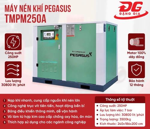 Máy nén khí trục vít Pegasus TMPM250A 2