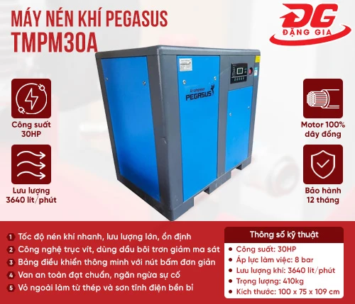 Máy nén khí trục vít Pegasus TMPM30A 2