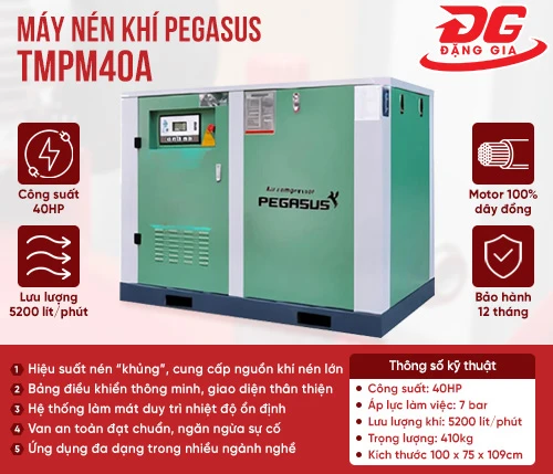 Máy nén khí trục vít Pegasus TMPM40A 2