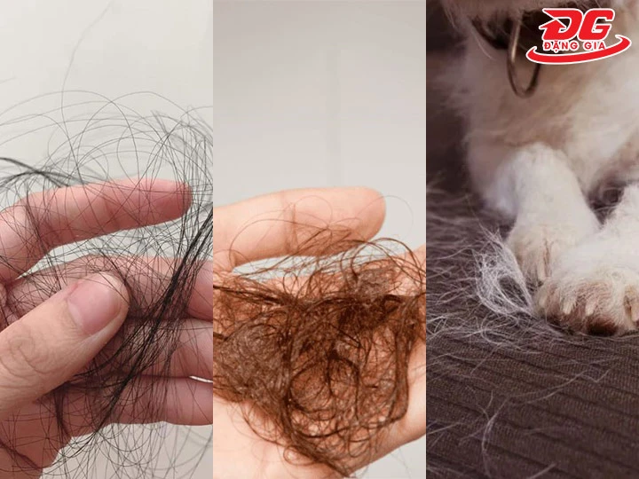 các loại tóc rụng