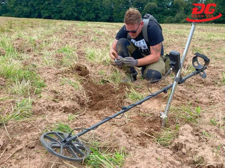 Máy dò kim loại Equinox 900 chế độ tìm cánh đồng