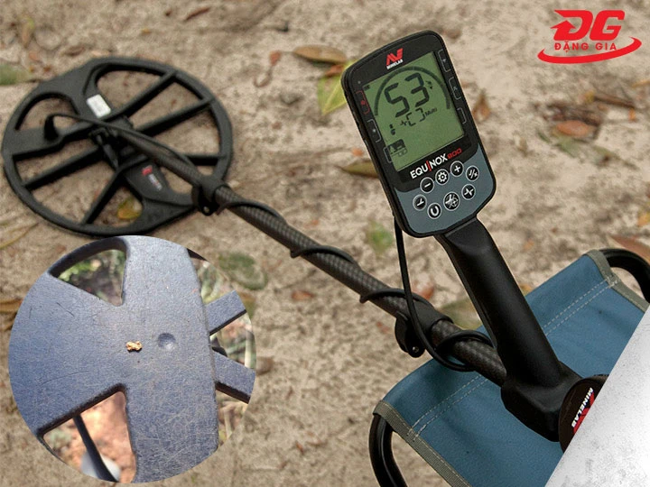 Máy dò kim loại Equinox 900 tìm vàng