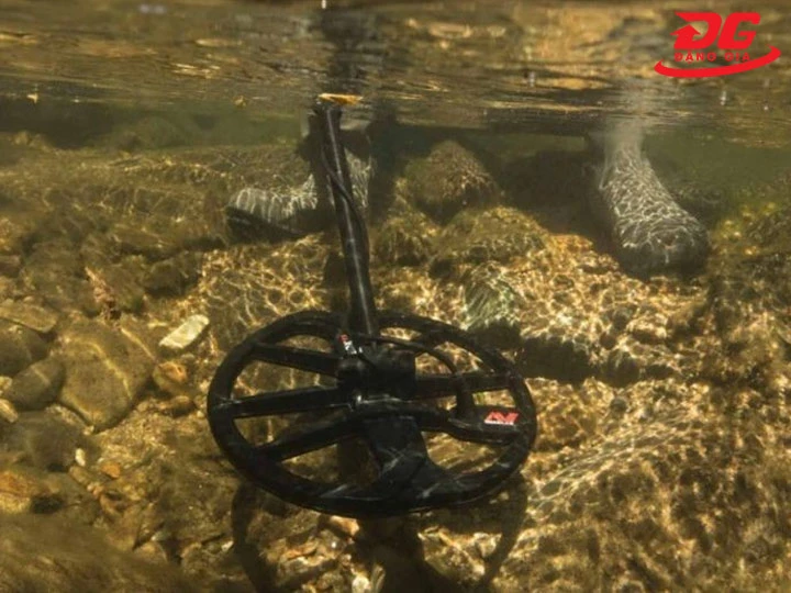 Máy dò kim loại Equinox 900 chống nước