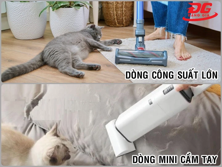 máy hút lông mèo đủ mọi lựa chọn: từ gọn nhẹ đến công suất mạnh