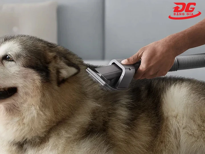 máy hút lông mèo hút sạch lông chỉ trong 1 nốt nhạc