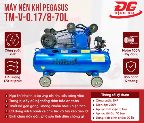 Máy nén khí Pegasus TM-V-0.17/8-70L 2