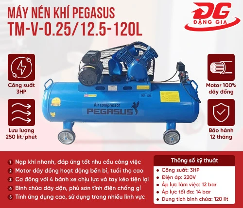 Máy nén khí Pegasus TM-V-0.25/12.5-120L 2