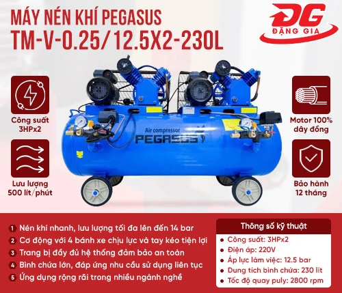 Máy nén khí Pegasus TM-V-0.25/12.5x2-230L 2