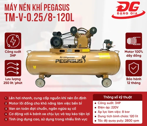 Máy nén khí Pegasus TM-V-0.25/8-120L 2