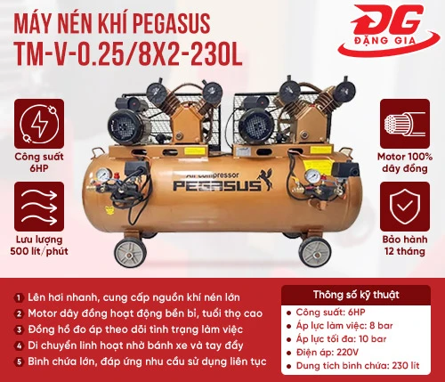 Máy nén khí Pegasus TM-V-0.25/8x2-230L 2