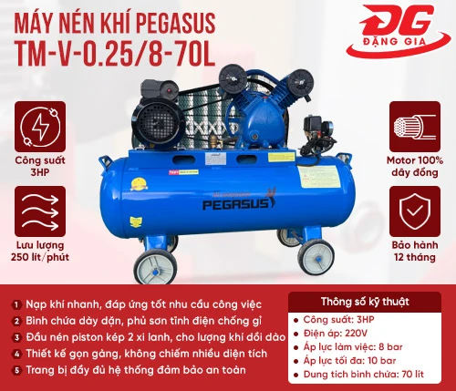 Máy nén khí Pegasus TM-V-0.25/8-70L 2