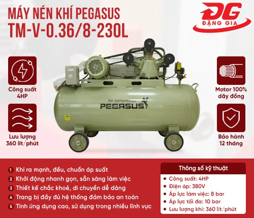 Máy nén khí Pegasus TM-V-0.36/8-230L 2