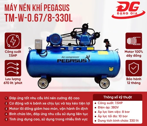 Máy nén khí Pegasus TM-W-0.67/8-330L 2
