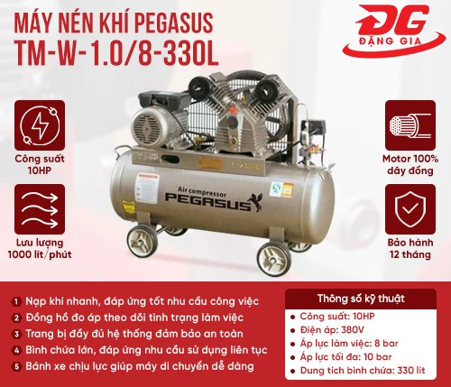 Máy nén khí Pegasus TM-W-1.0/8-330L 2