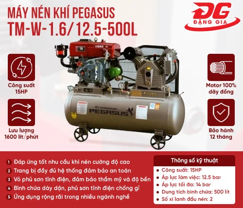 Máy nén khí chạy dầu Pegasus TM-W-1.6/12.5-500L 2