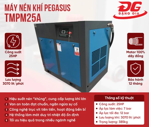 Máy nén khí trục vít Pegasus TMPM25A 2