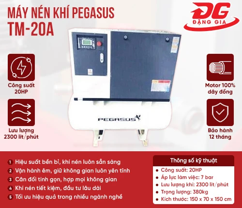 Máy nén khí trục vít Pegasus TM-20A 2