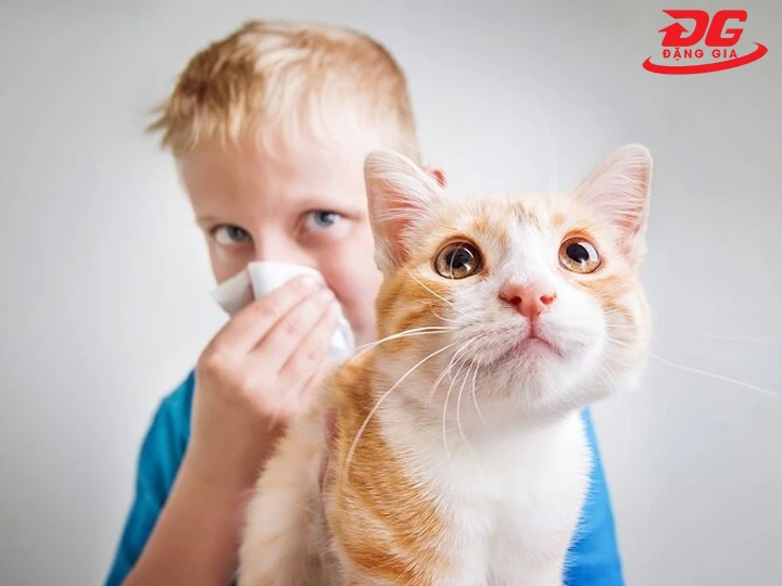 Trẻ sơ sinh, trẻ nhỏ dễ bị ảnh hưởng bởi lông chó mèo rụng