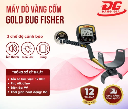 Máy dò vàng cốm Gold Bug Fisher 2