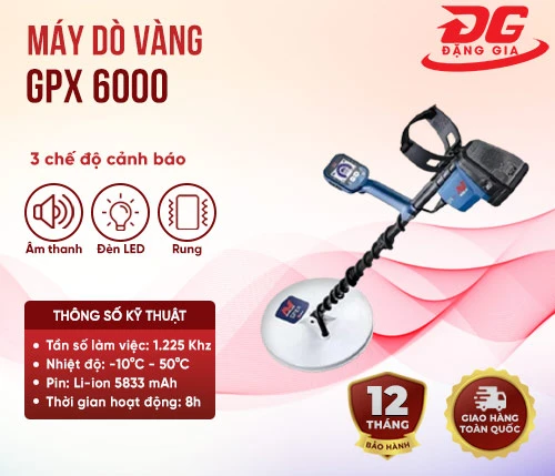 Máy dò vàng GPX 6000 2