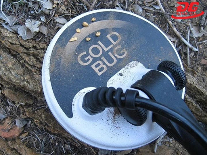 Đĩa dò máy dò vàng cốm Gold Bug Fisher