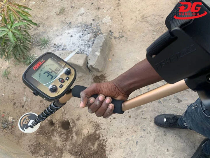 Máy dò vàng cốm Gold Bug Fisher nhỏ gọn