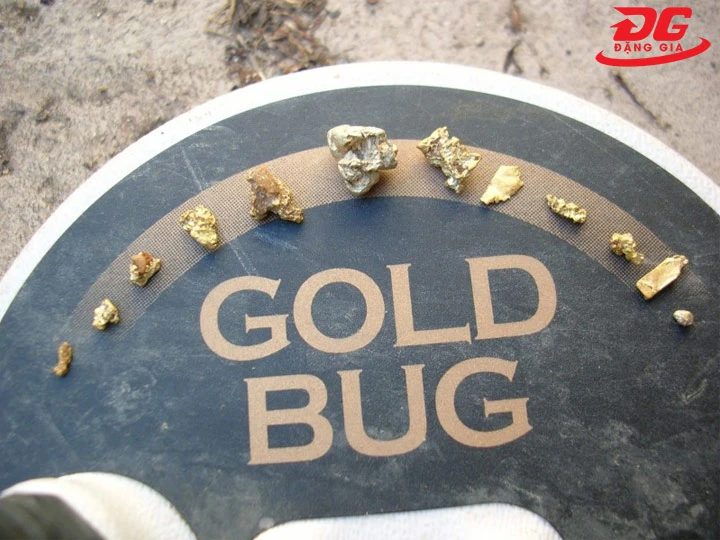 Máy dò vàng cốm Gold Bug Fisher tìm được vàng nhỏ