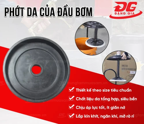 Phớt da của đầu bơm 2