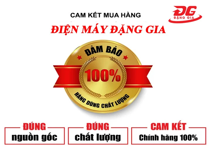 Mua máy dò kim loại sâu 3m chính hãng, giá tốt tại Đặng Gia