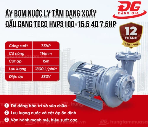 Máy bơm nước ly tâm dạng xoáy đầu gang TECO HVP3100-15.5 40 7.5HP 2