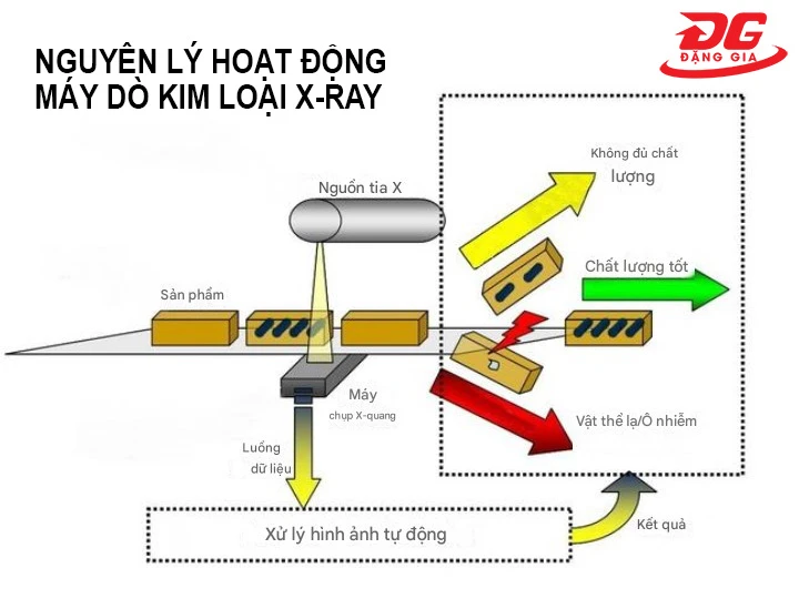nguyên lý hoạt động của Máy dò kim loại X-ray