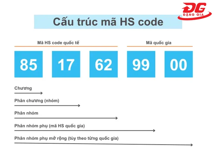 cấu trúc của mã hs code