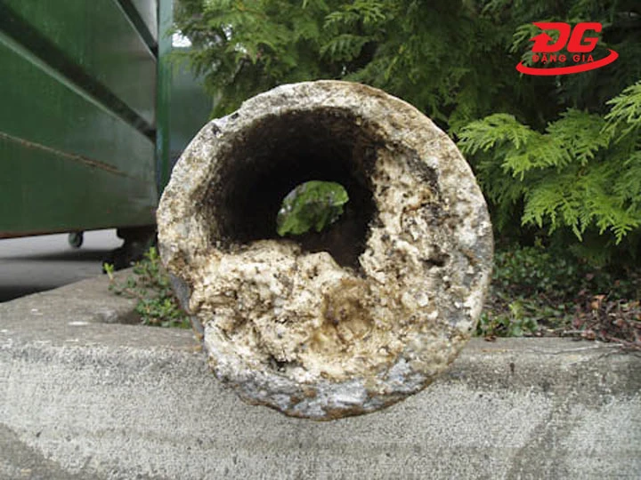 Lắng đọng bùn đất