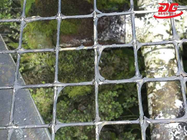 Vệ sinh cáu cặn, rong rêu bám trong lòng tháp