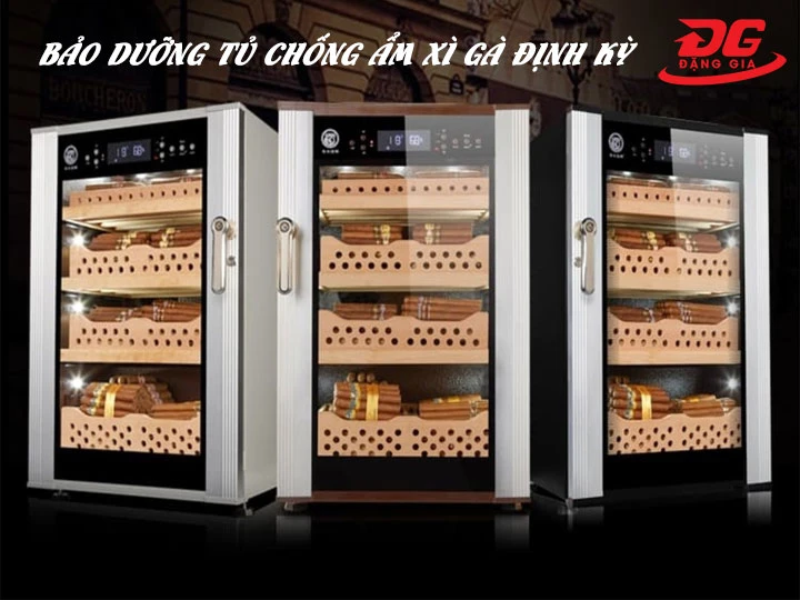 Lưu ý bảo dưỡng, vệ sinh định kỳ